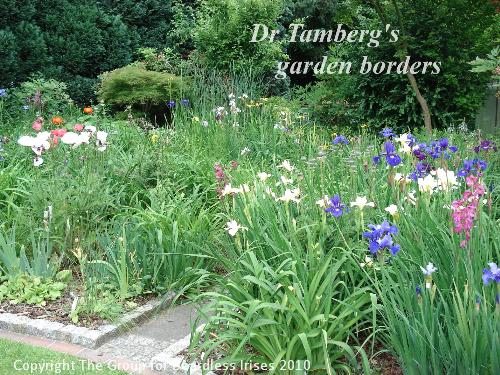 OW G01 Tamberg garden borders